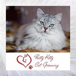 Pretty Kitty Cat Grooming