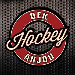 Ligue Dek Hockey Anjou