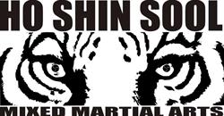 HO SHIN SOOL mma