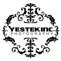 YESTEK Inc.
