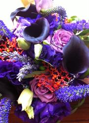 Moss + Poppy Floral and Decor