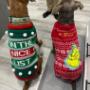 We are working our way through all the orders from the 12 Days of Christmas and giveaways. We appreciate your patience while getting them out. We are working our way through all the orders from the 12 Days of Christmas and giveaways. We appreciate your patience while getting them out.