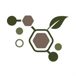 PureStem Beauty Inc