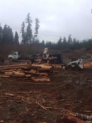 West Coast Firewood