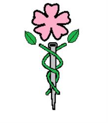 Wildrose Community Acupuncture