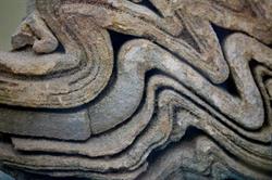 Miller Museum of Geology