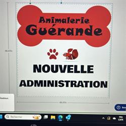 Animalerie Guérande Les Béttas De Marciano