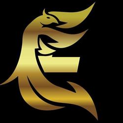 Excinis Accounting Services