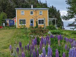 East Coast Newfoundland Cottage & Cabins, Bauline East, NL.