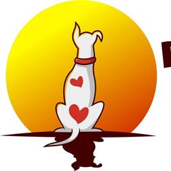 Paragon Pooch