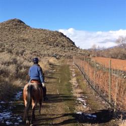 Sun Hills Riding Centre