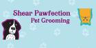 Shear Pawfection Pet Grooming