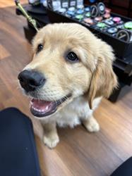 Pet Valu