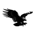 Scream'In Eagle Sales Ltd