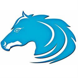 Blue Stallion Xpress Inc.