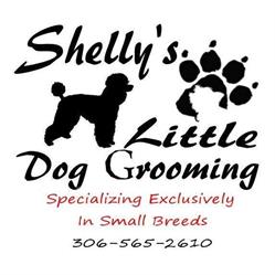 Shelly's Little Dog Grooming