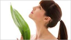 ADS Massage Therapy