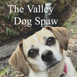 The Valley Dog Spaw