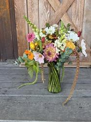 Schoolhouse Farm