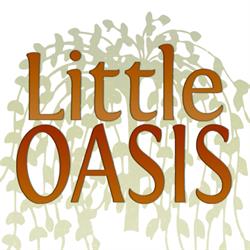 Little Oasis Equine