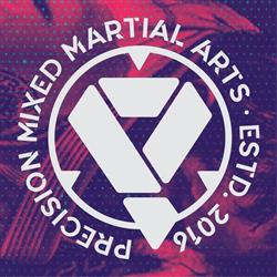 Precision Mixed Martial Arts