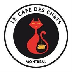 Le Café des Chats - Cat Café