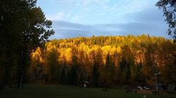 Stone Creek RV Park and Campground