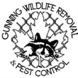 Gunning Wildlife Removal & Pest Control