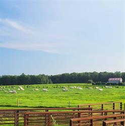Louber Farm