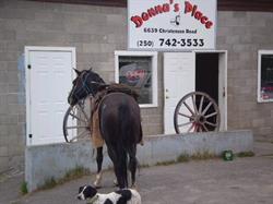 Donna's Place