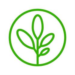 Arbutus Midwives