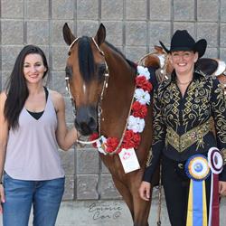 Royden Arabians