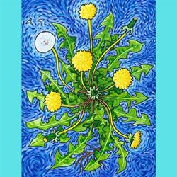 The Dandelion Kitchen