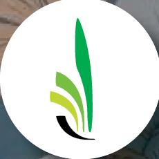 Danforth East Wellness