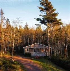 Inn the Woods