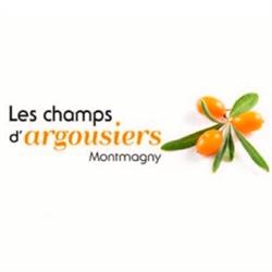 Les champs d'argousiers Montmagny