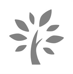 Designtree Studio