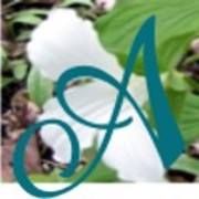 Artemisia Art Gallery