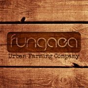fungaea