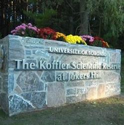 Koffler Scientific Reserve at Jokers Hill