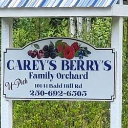 Carey's Positive Electronics Ltd.