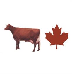 Canadian Milking Shorthorn Society