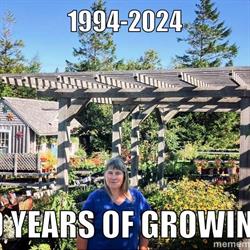 Ouest Ville Perennials