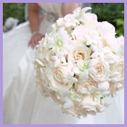 Bridal Blossom