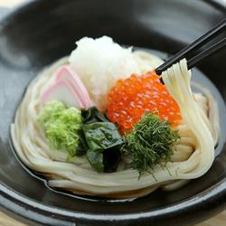 Zen Sanuki Udon