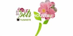 Fleuriste À Fleur De Pots