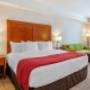 Guest room with king bed(s) Guest room with king bed(s)