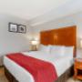 Guest room with king bed(s) Guest room with king bed(s)