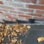 Missing shingles on a home that was inspected and just had roof redone. This was not visible from the ground due to being hidden behind the chimney and the steep pitch of the roof. Missing shingles on a home that was inspected and just had roof redone. This was not visible from the ground due to being hidden behind the chimney and the steep pitch of the roof.