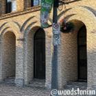Woodstonian